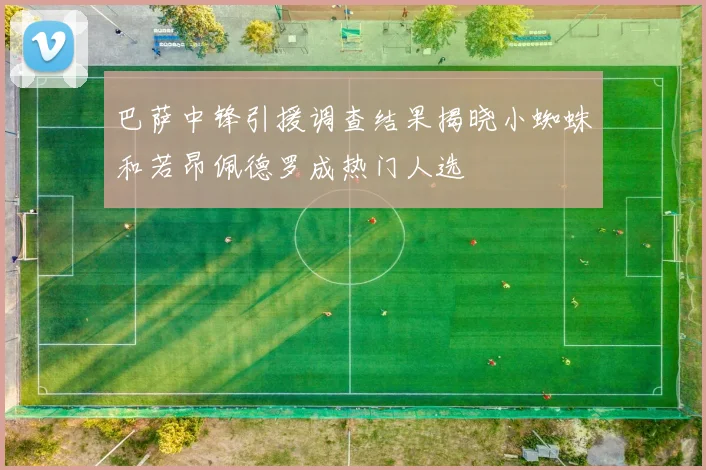 巴萨中锋引援调查结果揭晓小蜘蛛和若昂佩德罗成热门人选